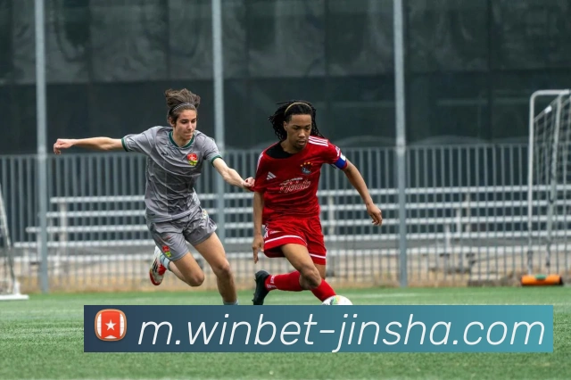 金沙娱乐平台生态图